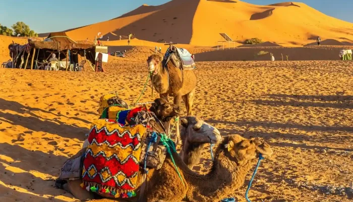 9-Day Chegaga Desert Trekking Expedition from Marrakech