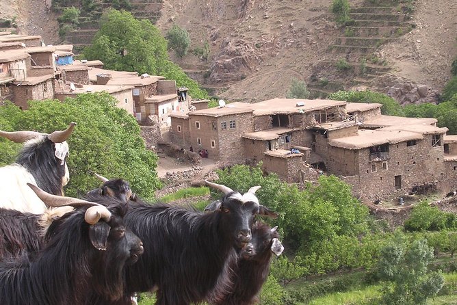 Atlas Mountains Landscape