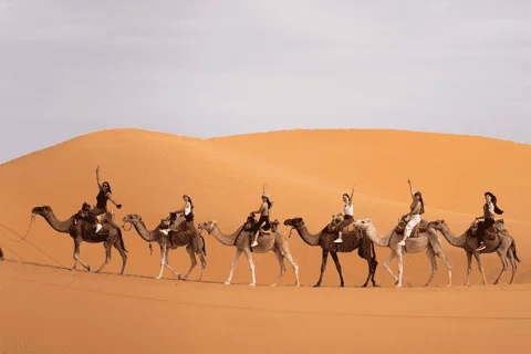 5-day Sahara desert tour from Marrakech with camping and camel trekking