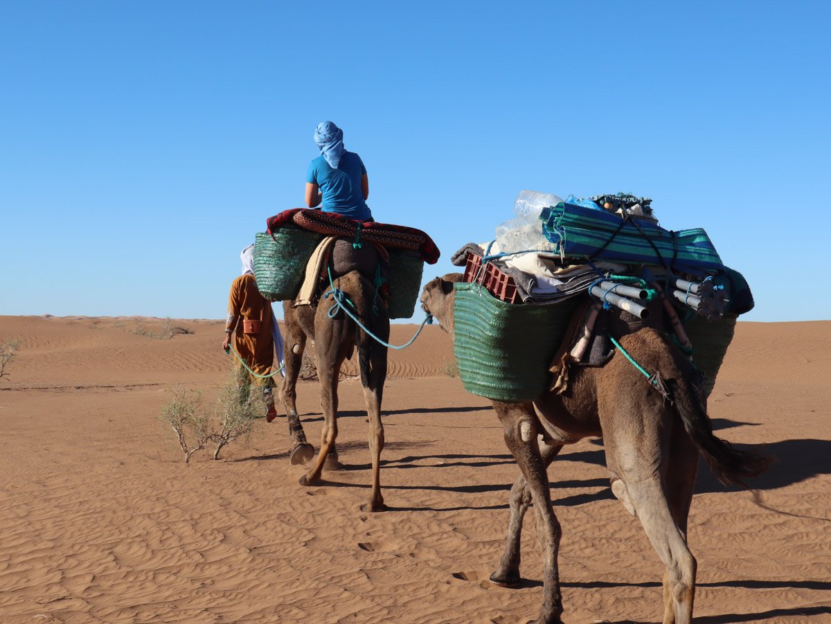 Morocco Camel Trekking Riding