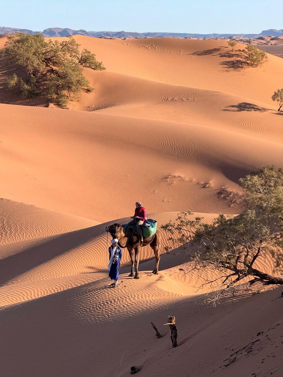 Taraglate Tours - Morocco desert adventure with camels and mountains