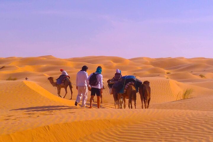 Desert Bivouac