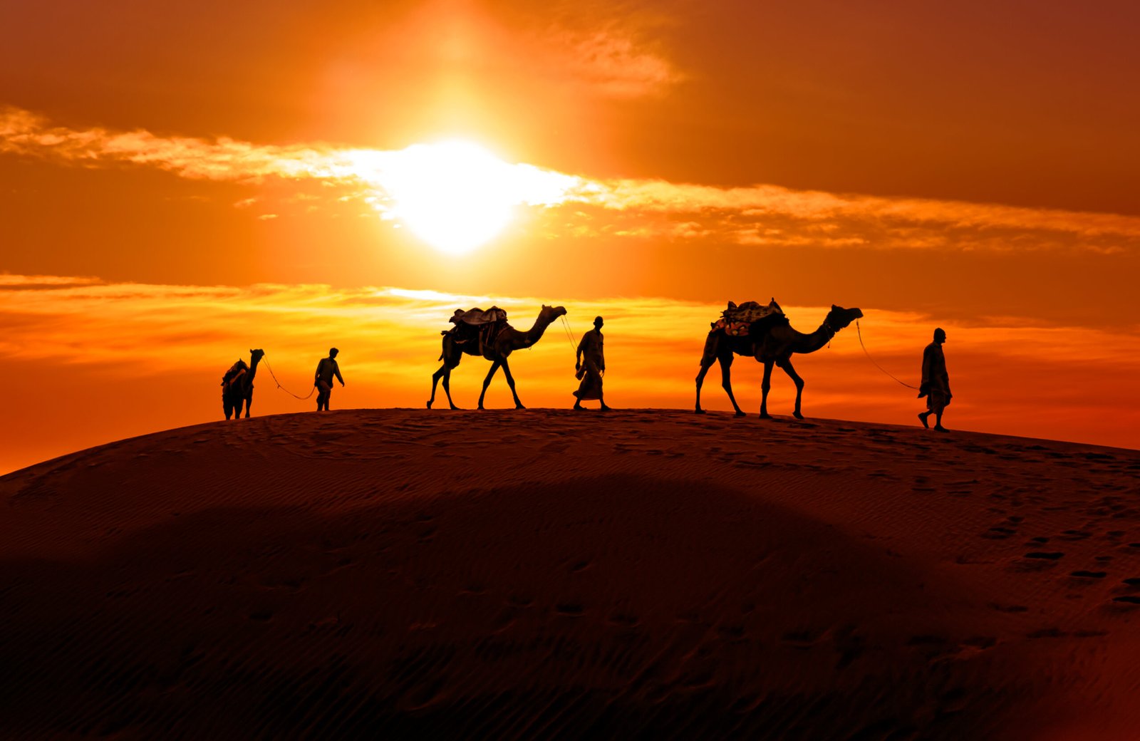 Taraglate Tours sunset camel trek in Moroccan desert - authentic Morocco travel experience