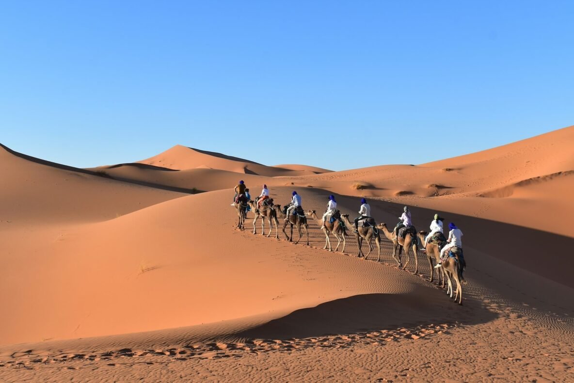 Camel Trekking Sahara