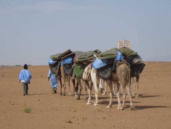 Caravan in Chegaga Desert