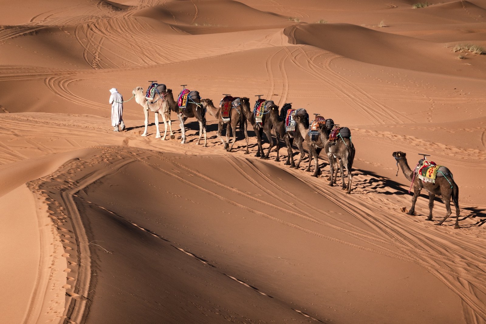 Marrakech to Merzouga 8 Days Trekking & Desert Adventure