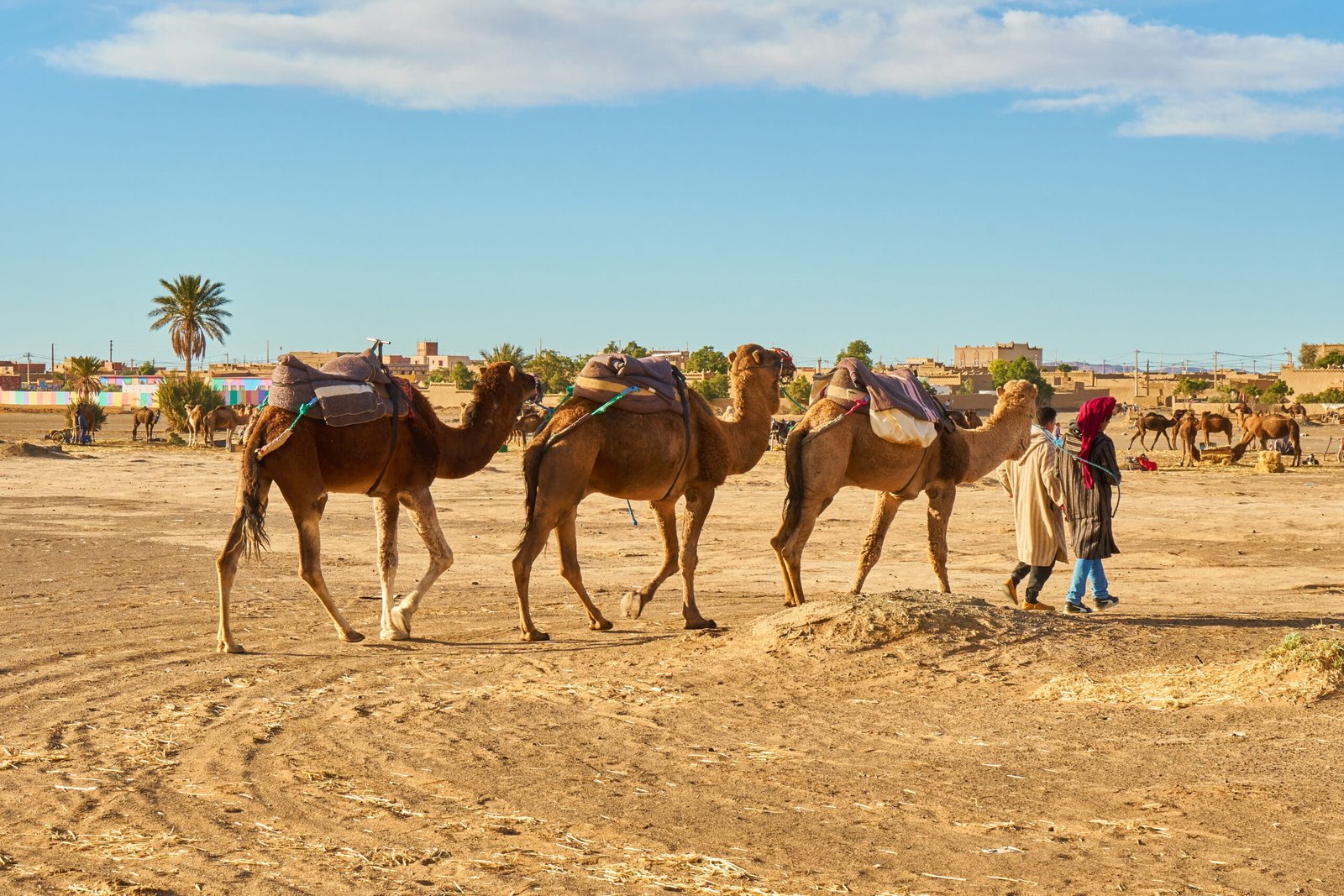 Sahara Desert Tours with Camels