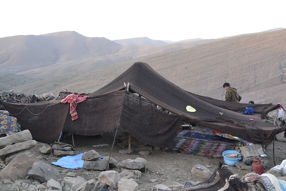 Nomad Travel Experience